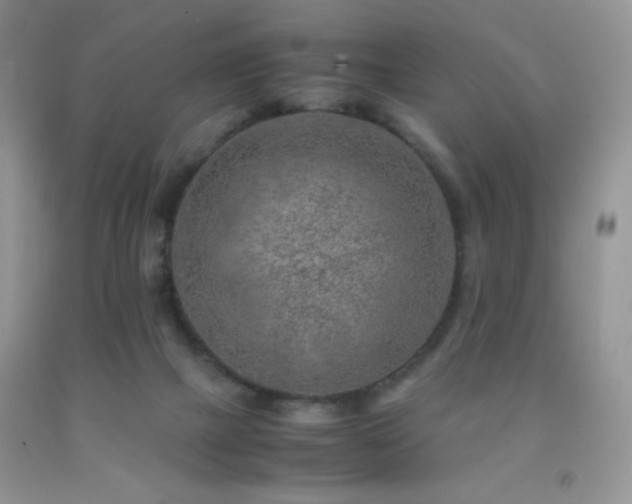 X0000092290073200709141308