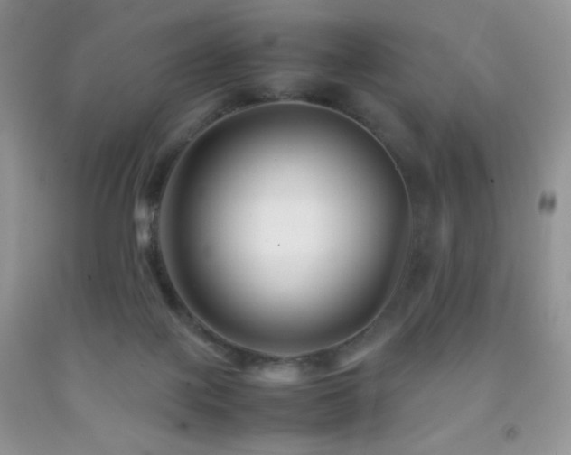 X0000092290075200709141308