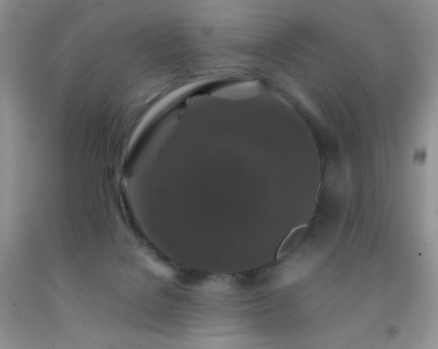 X0000092290076200709141308