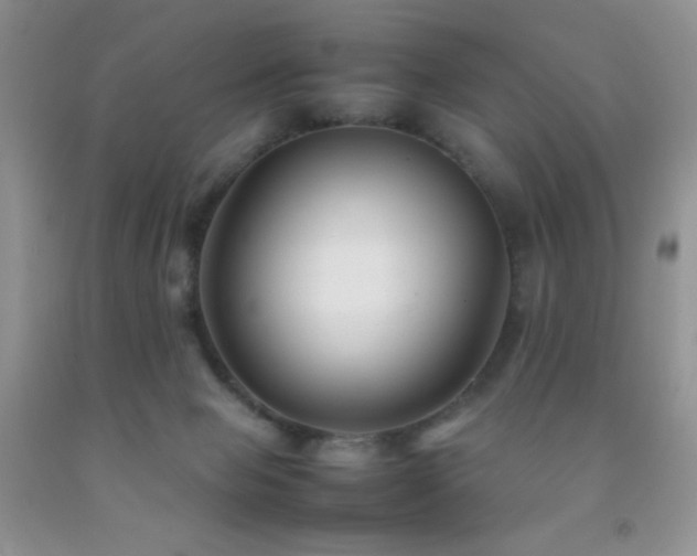 X0000092290077200709141308