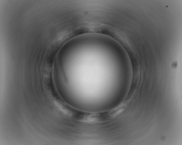 X0000092290078200709141308