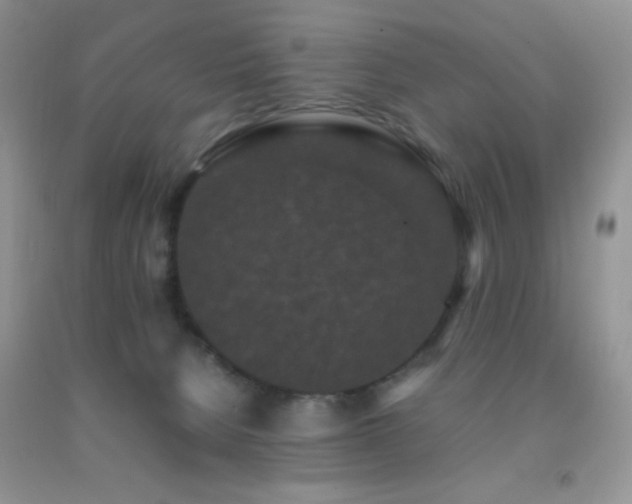 X0000092290080200709141308