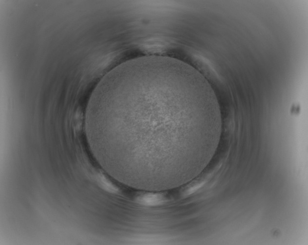 X0000092290081200709141308