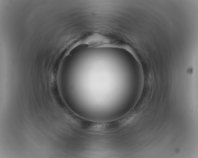 X0000092290084200709141308