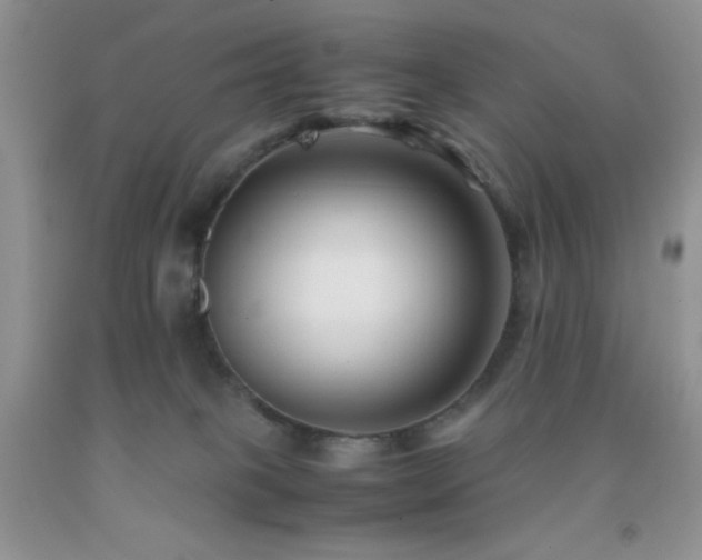 X0000092290085200709141308