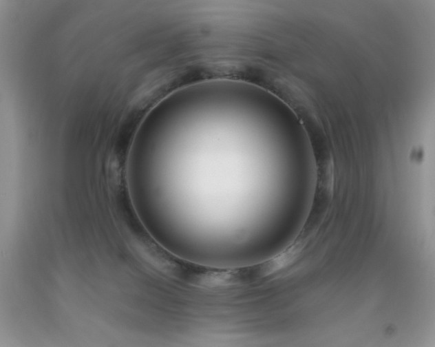 X0000092290086200709141308