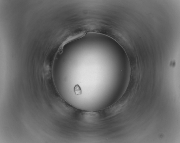 X0000092290087200709141308