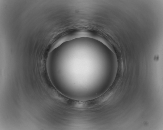 X0000092290088200709141308