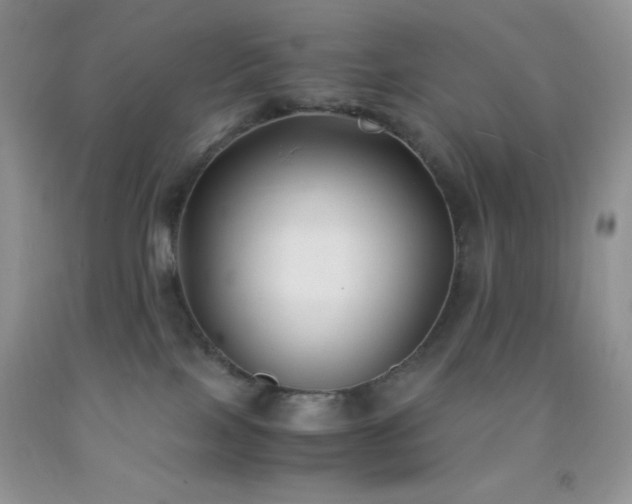 X0000092290089200709141308