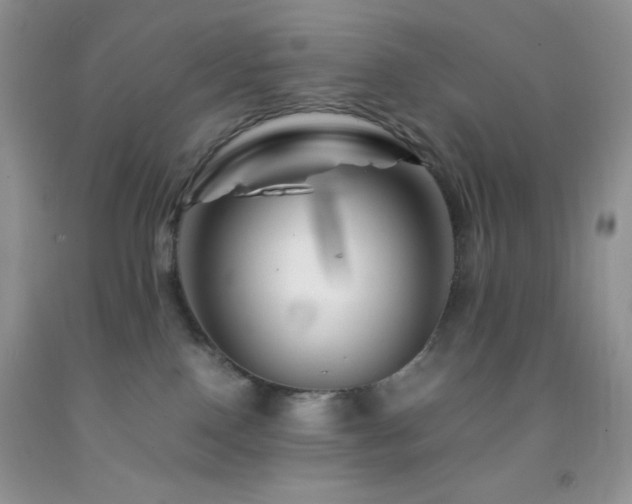 X0000092290090200709141308