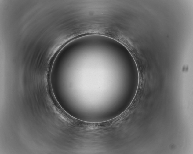 X0000092290098200709141308