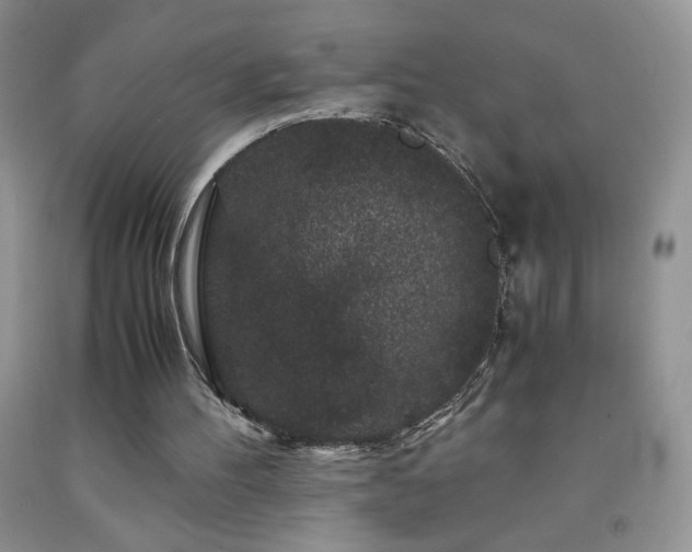 X0000092290100200709141307