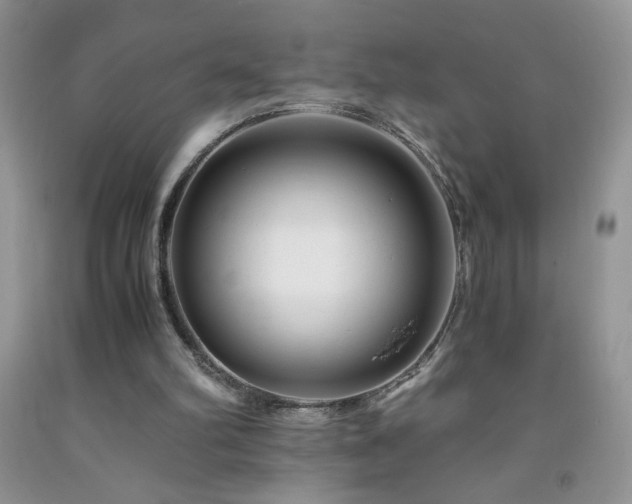 X0000092290102200709141307