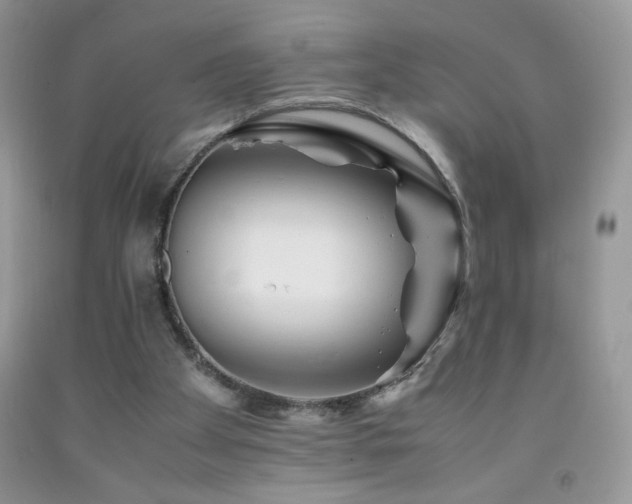 X0000092290105200709141307