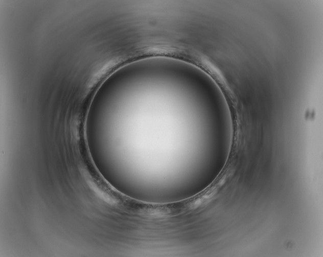 X0000092290106200709141307