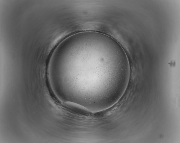 X0000092290107200709141307