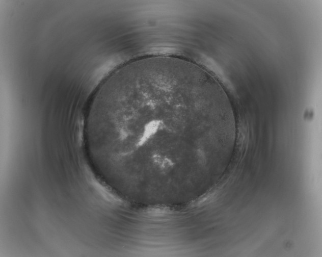 X0000092290110200709141307