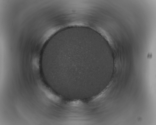 X0000092290112200709141307