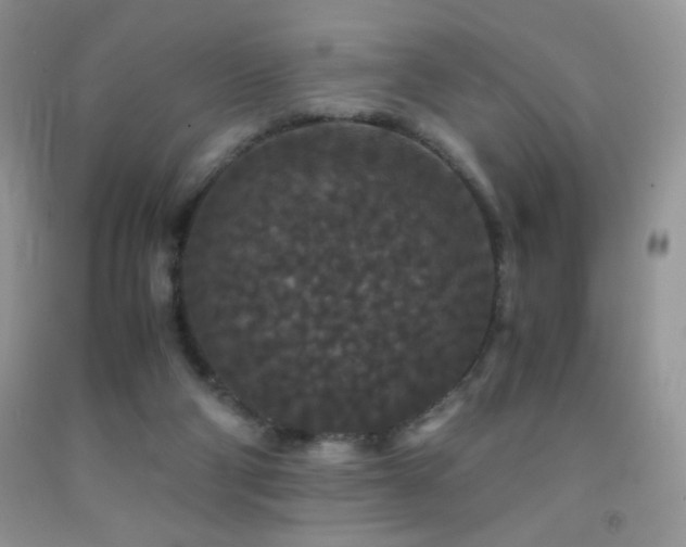 X0000092290114200709141307