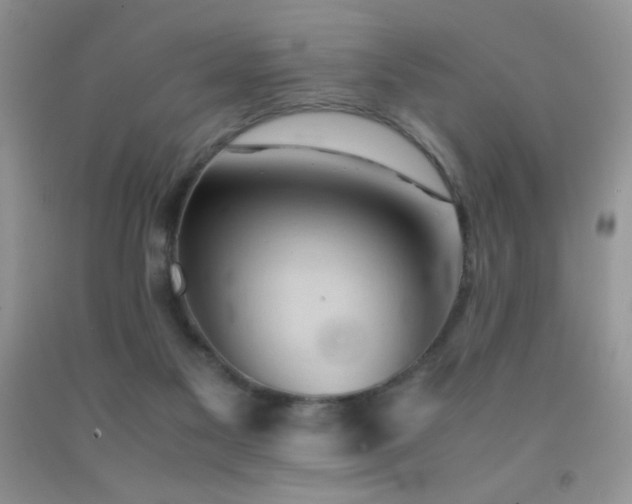 X0000092290117200709141307