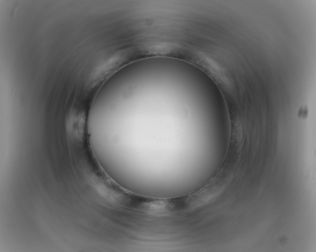 X0000092290118200709141307