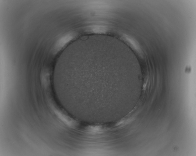 X0000092290120200709141307