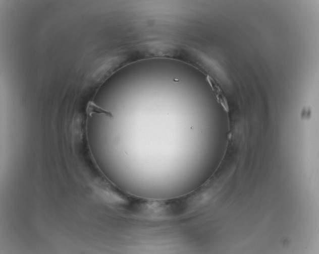 X0000092290121200709141307