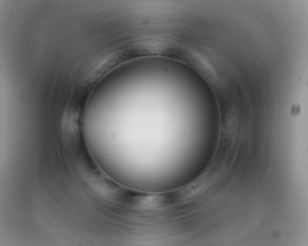 X0000092290122200709141307