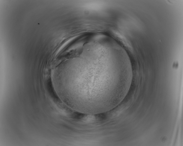 X0000092290123200709141307