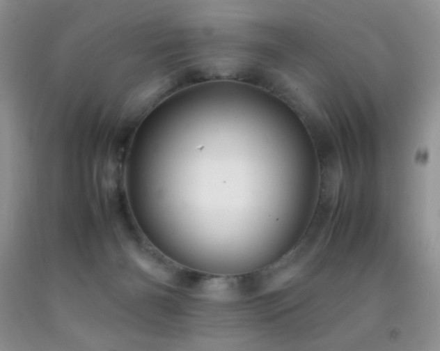 X0000092290126200709141307