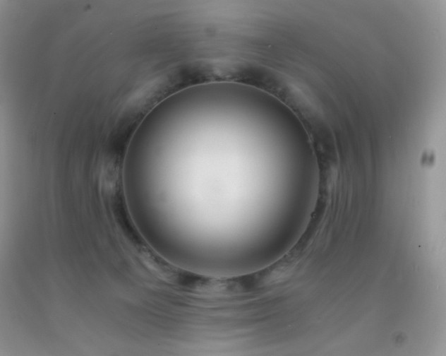 X0000092290129200709141307