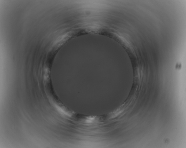 X0000092290130200709141307