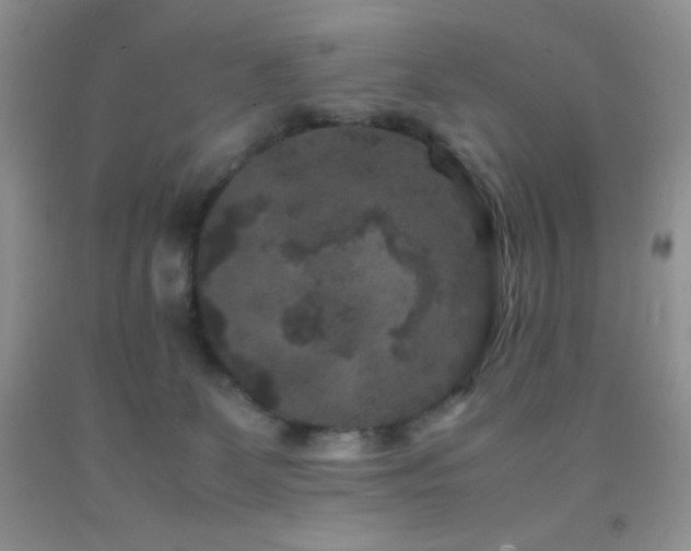 X0000092290131200709141307