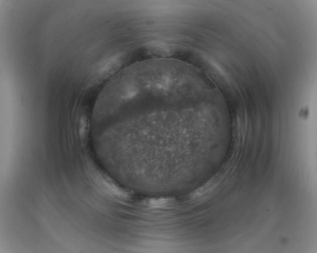 X0000092290134200709141307