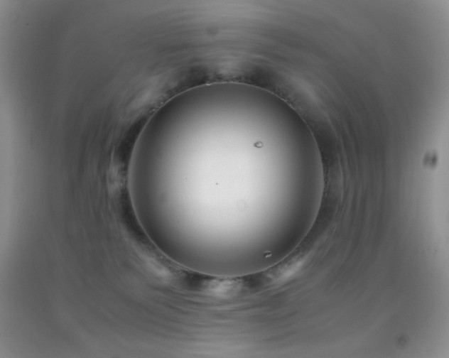 X0000092290135200709141307