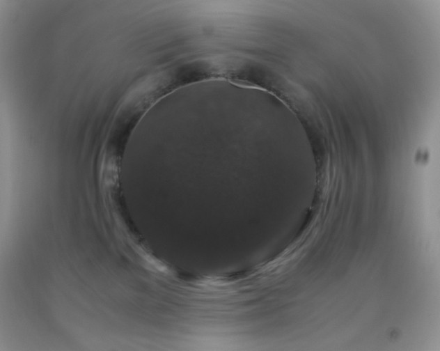 X0000092290137200709141307