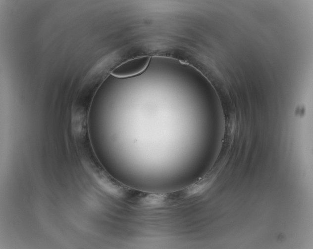 X0000092290138200709141307