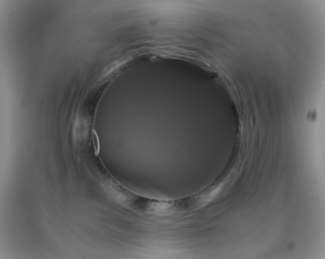 X0000092290139200709141307