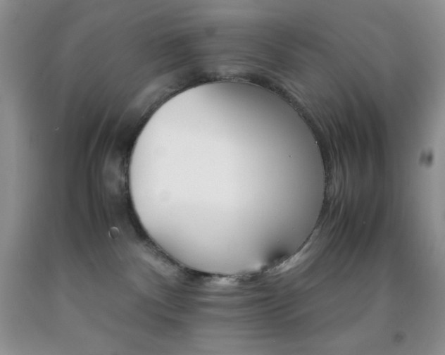 X0000092290140200709141307