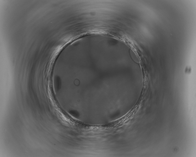 X0000092290145200709141306