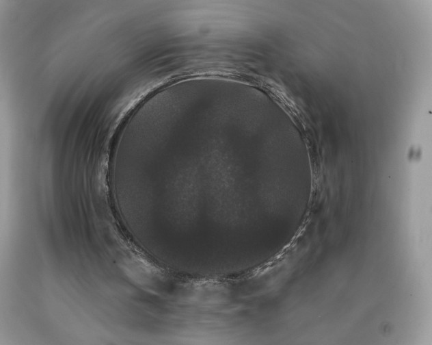 X0000092290146200709141306