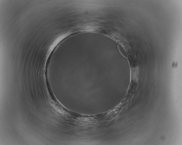 X0000092290147200709141306