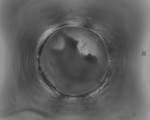 X0000092290149200709141306