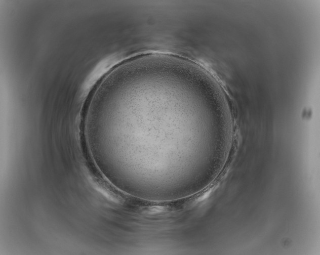 X0000092290151200709141306