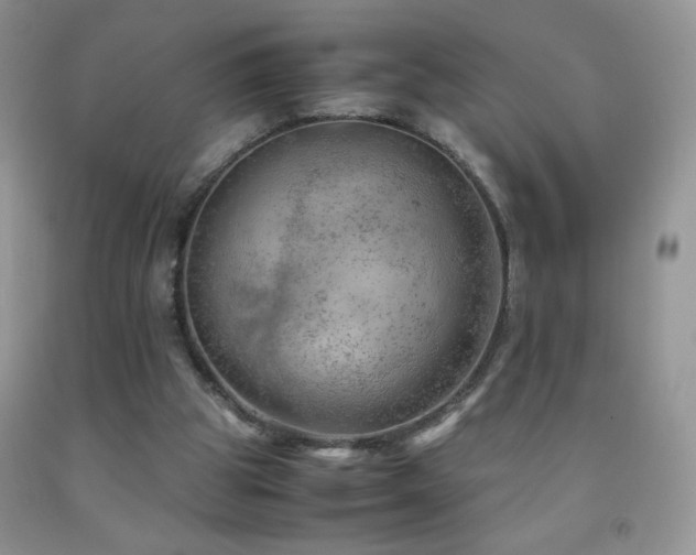 X0000092290153200709141306