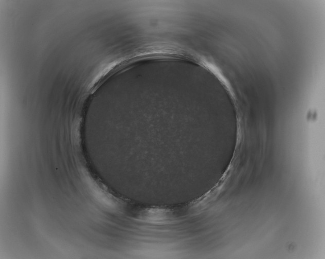 X0000092290154200709141306