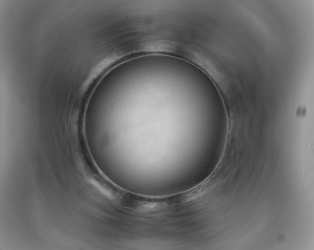 X0000092290155200709141306