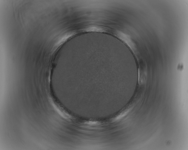 X0000092290157200709141306