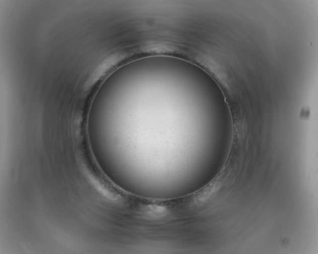 X0000092290159200709141306