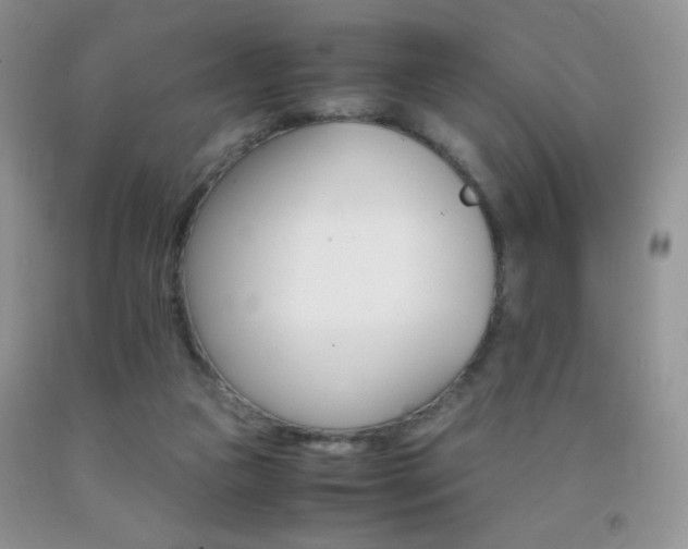 X0000092290161200709141306